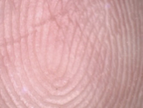 Double Loop fingerprint