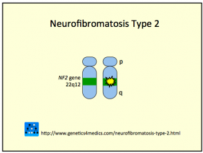 Neurofibromatosis Type 2