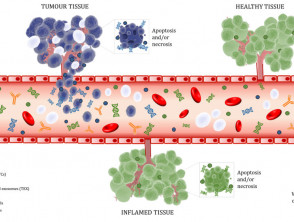Biomarkers in bloodstream