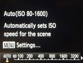 ISO options